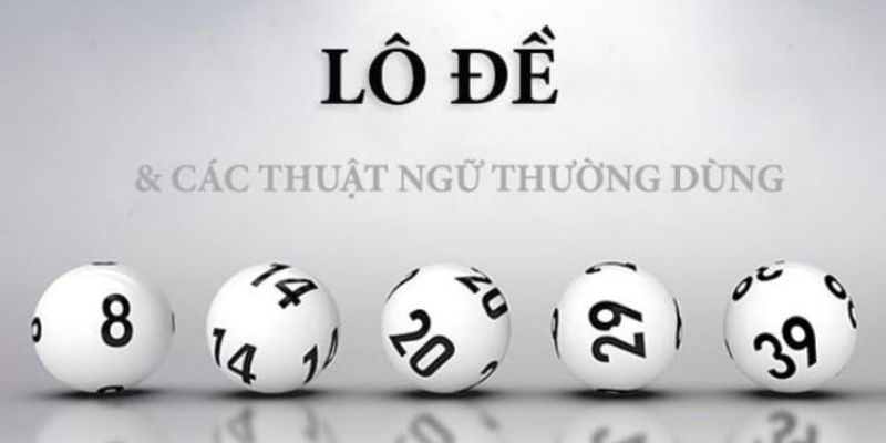 Cá cược lô đề và các thuật ngữ