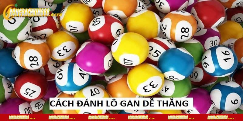 Kinh nghiệm đánh lô gan hiệu quả cho tân thủ