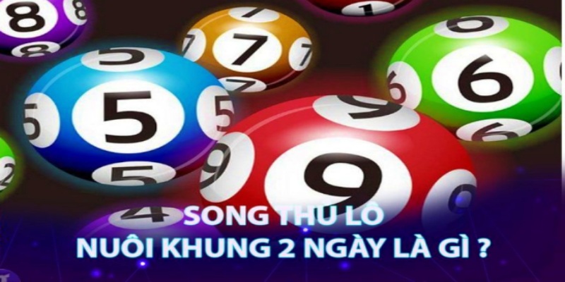 Tổng hợp các cách bắt song thủ lô 2 ngày chính xác nhất